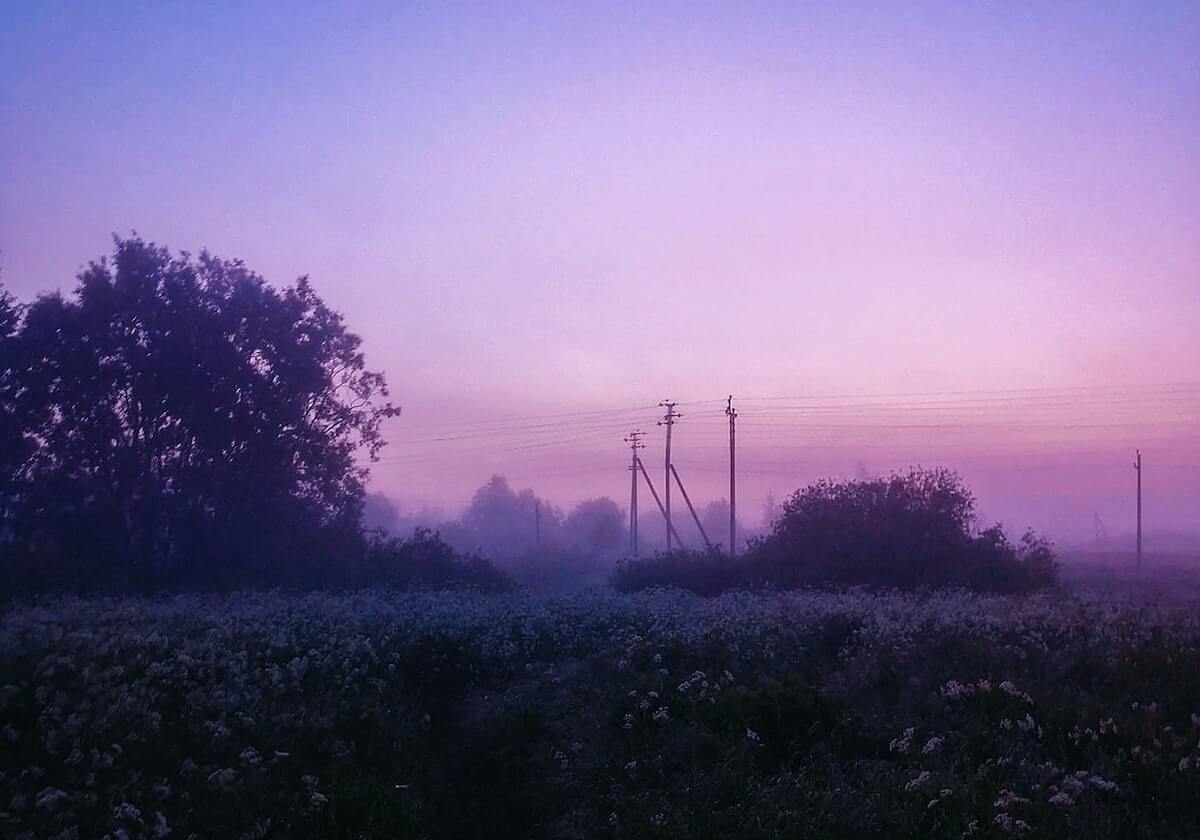 哈哈体育登录入口-杨鸣卸任辽篮主教练